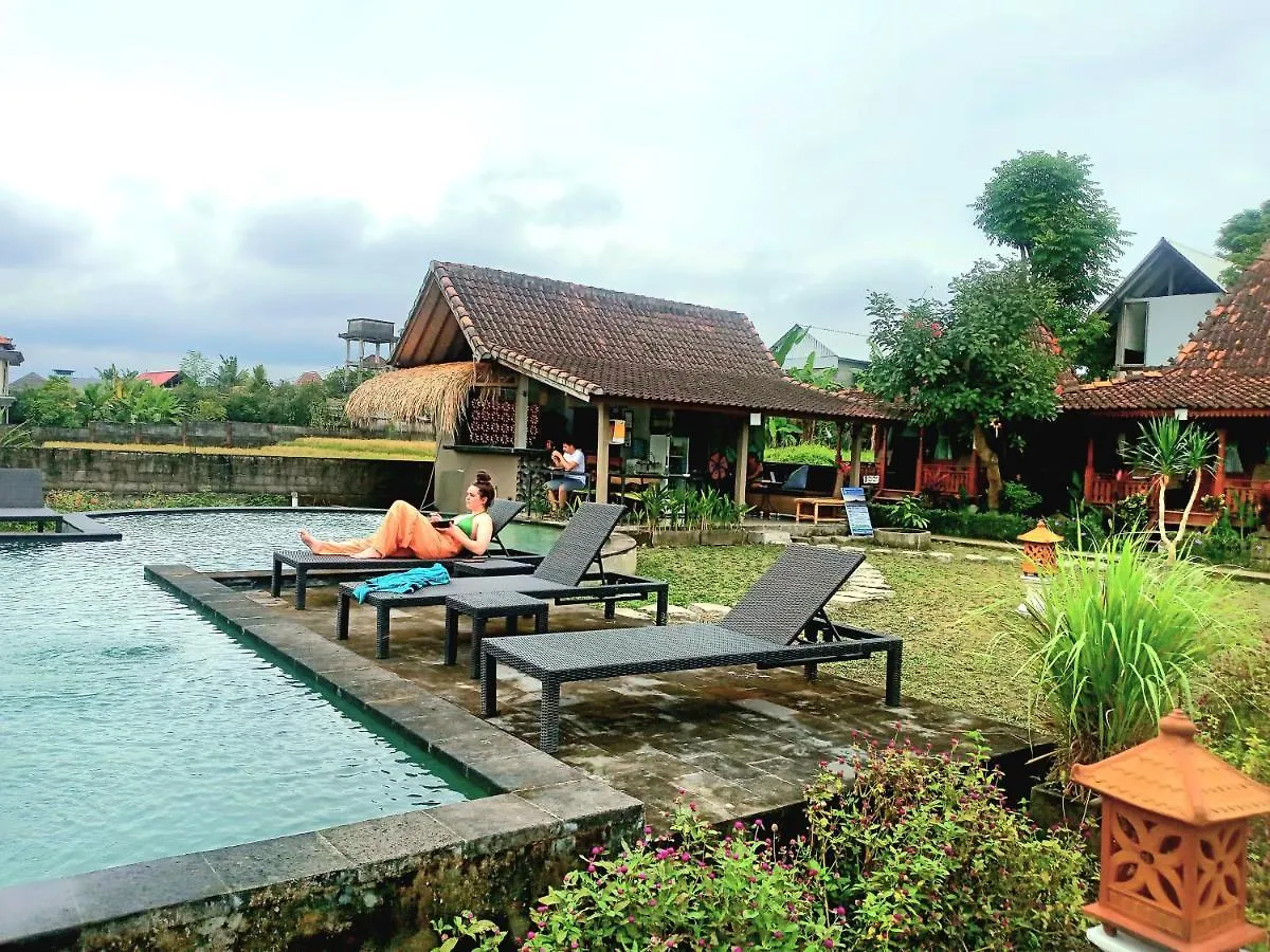 Ubud Rice Field House Hostel