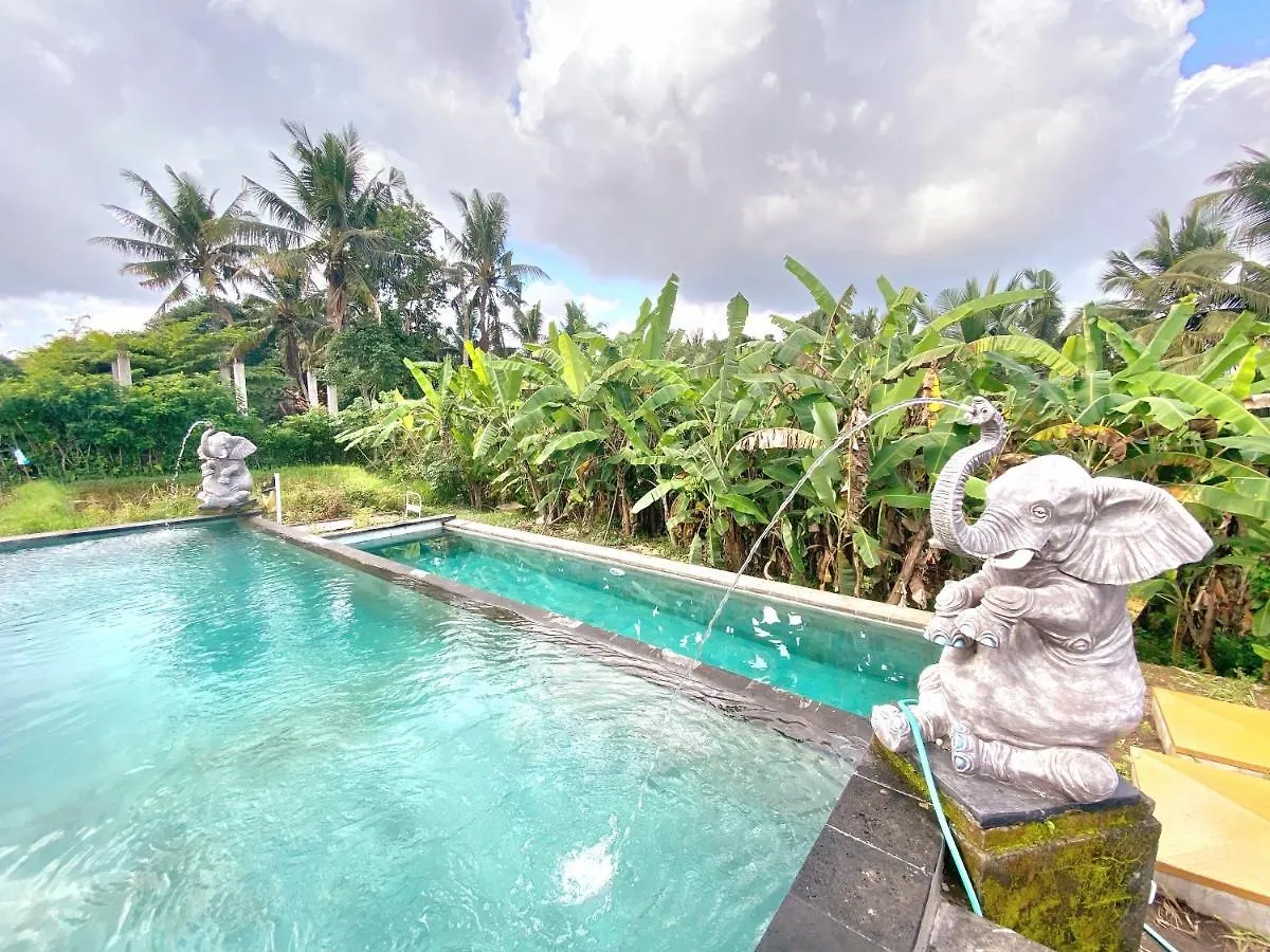Hostel Ubud Rice Field House Indonesien