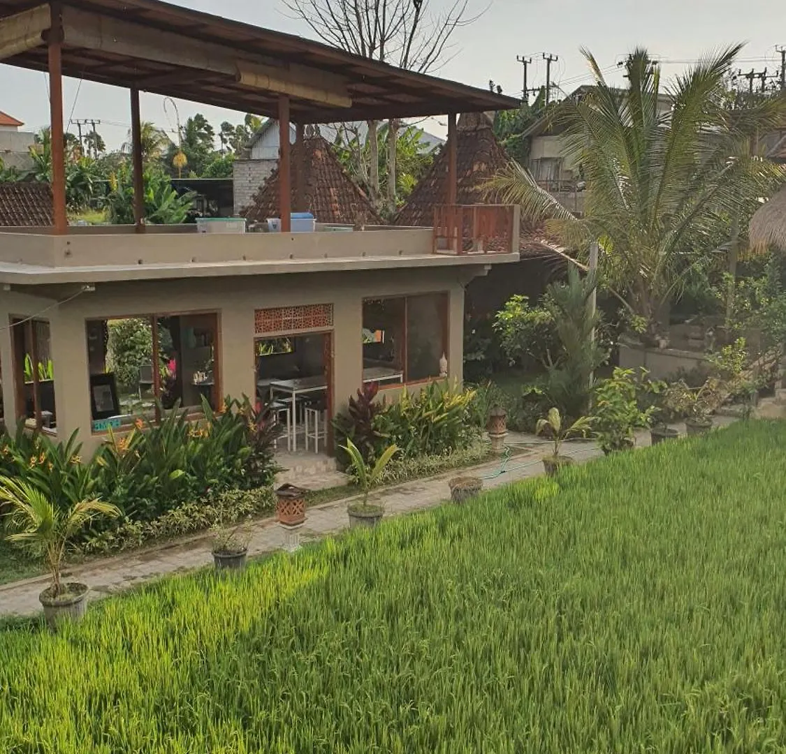 Ubud Rice Field House Hostel