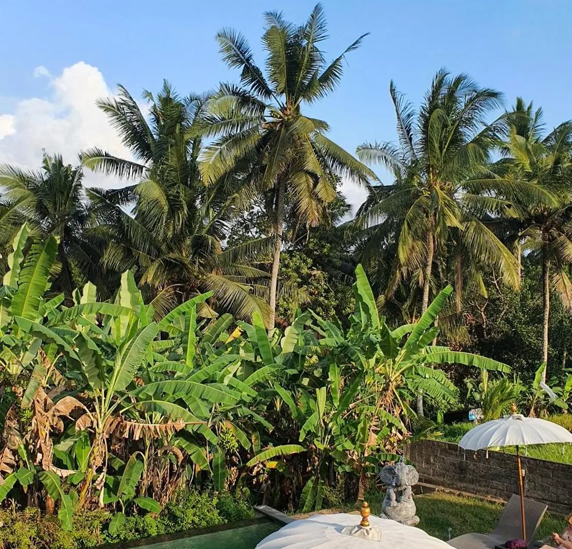 Ubud Rice Field House