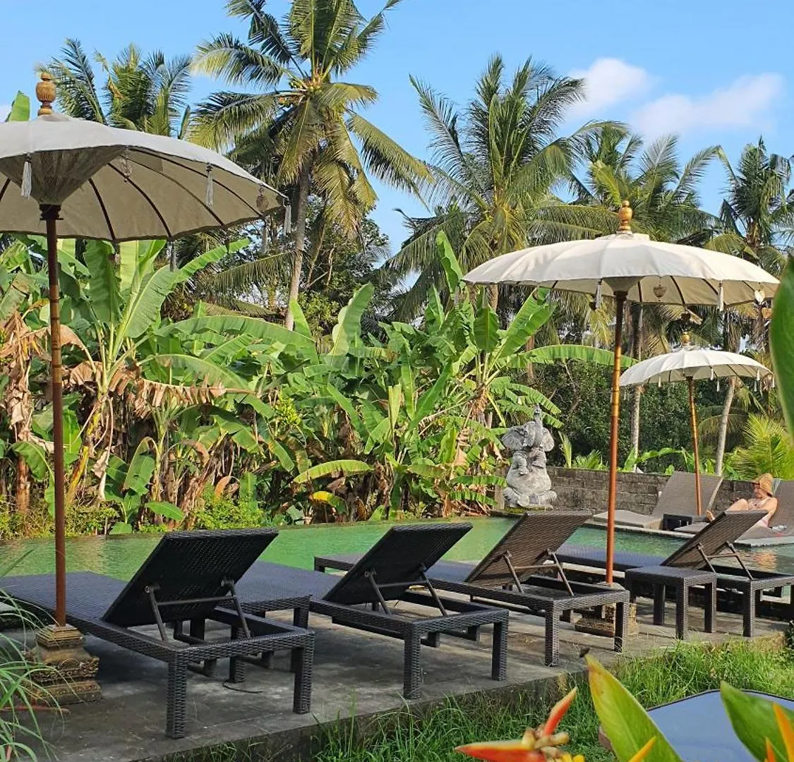 Hostel Ubud Rice Field House Indonesia