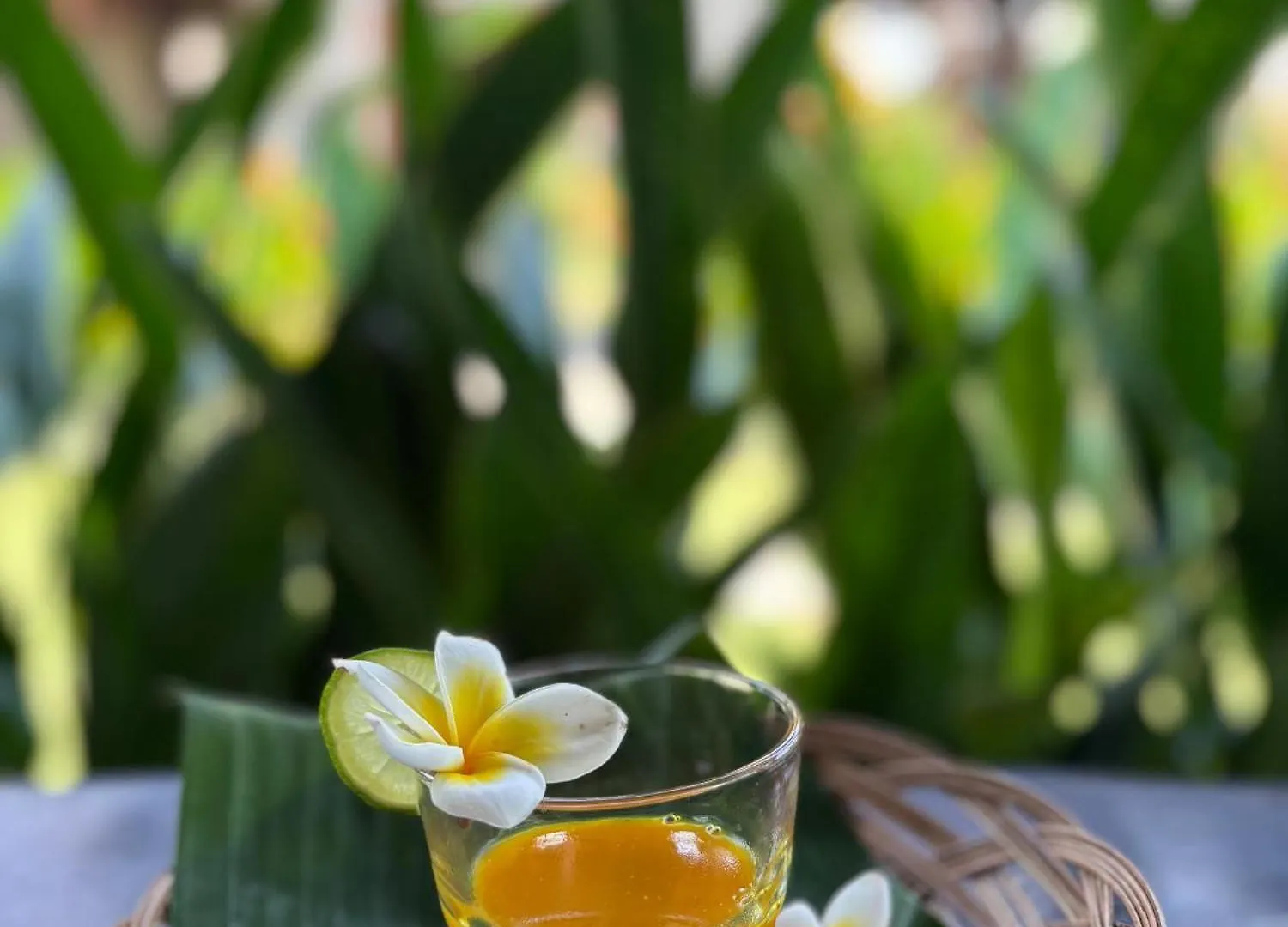 Ubud Rice Field House Hostel